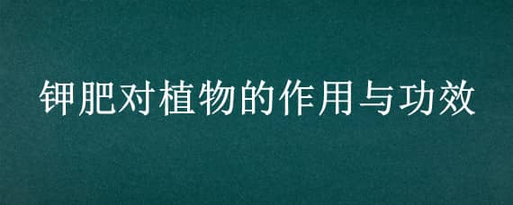 钾肥对植物的作用与功效 钾肥对植物的作用与功效图片