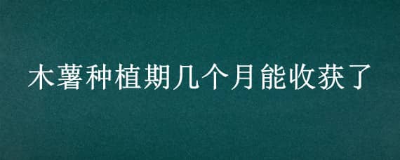 木薯种植期几个月能收获了 木薯的生长周期多少天