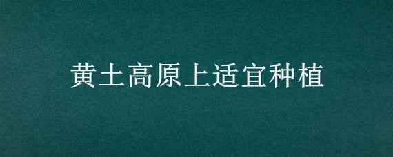 黄土高原上适宜种植 黄土高原上适宜种植水稻甘蔗高粱