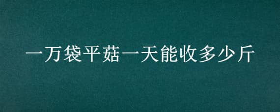 一万袋平菇一天能收多少斤（平菇一万袋的话能赚多少钱）