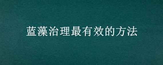 蓝藻治理最有效的方法 蓝藻治理最有效的方法投放什么鱼