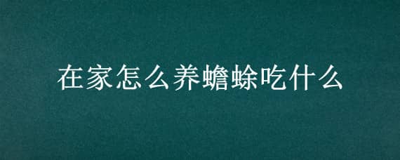 在家怎么养蟾蜍吃什么（家养蟾蜍吃什么食物）