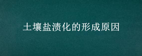 土壤盐渍化的形成原因 土壤盐渍化的形成原因是什么