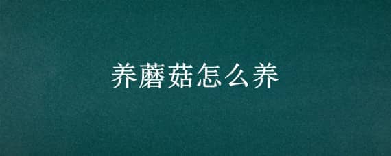 养蘑菇怎么养 养蘑菇怎么养殖大棚