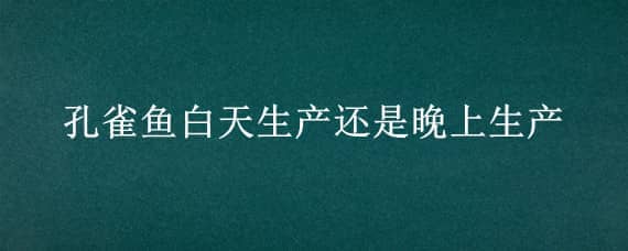 孔雀鱼白天生产还是晚上生产（孔雀鱼一般在白天生还是晚上生）