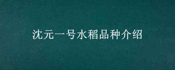 沈元一号水稻品种介绍 沈星2号稻种