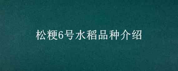 松粳6号水稻品种介绍 长粳6号水稻