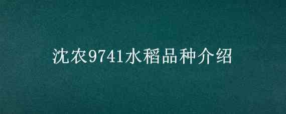 沈农9741水稻品种介绍（水稻沈农625品种）