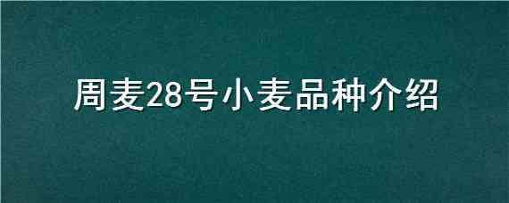 周麦28号小麦品种介绍（周麦28号小麦品种大全）