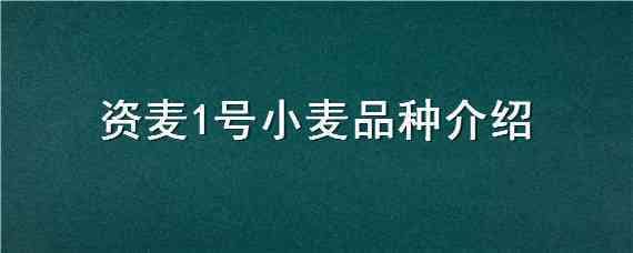 资麦1号小麦品种介绍 吨麦王一号小麦品种适应在哪些地区种植?