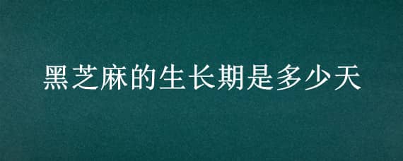 黑芝麻的生长期是多少天（芝麻的生长期是多少天?）