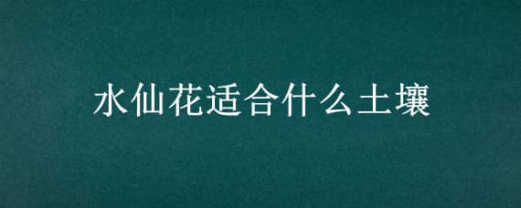 水仙花适合什么土壤 水仙花用土养好还是用水养好