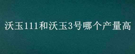 沃玉111和沃玉3号哪个产量高 沃玉3号怎么样