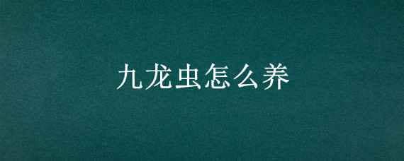 九龙虫怎么养 九龙虫怎么养殖