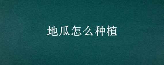 地瓜怎么种植 地瓜怎么种植方法如下怎么掐苗