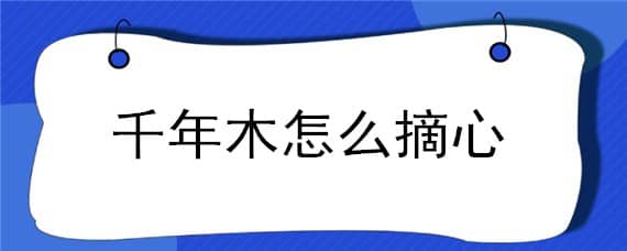 千年木怎么摘心（千年木要摘叶子吗）