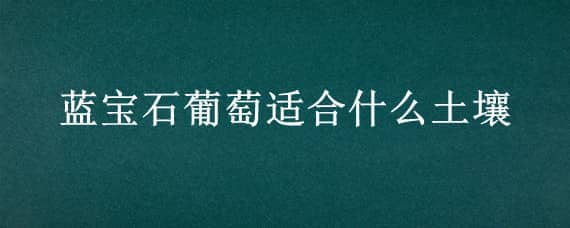 蓝宝石葡萄适合什么土壤 蓝宝石葡萄喜欢什么土壤