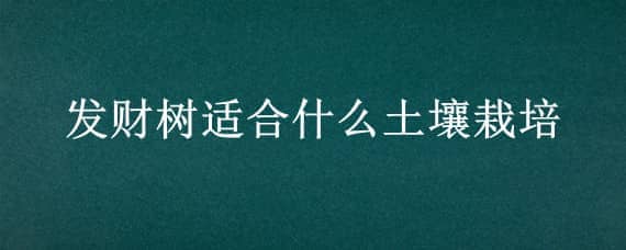 发财树适合什么土壤栽培（发财树适合什么样的土壤）