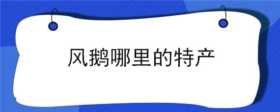 风鹅哪里的特产 哪里的风鹅最好吃