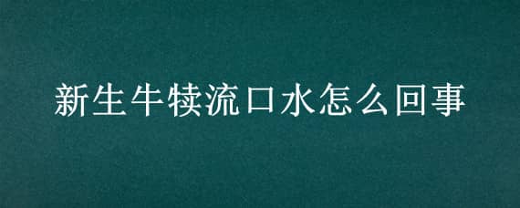 新生牛犊流口水怎么回事 新生小牛犊流口水