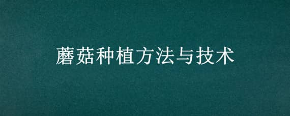 蘑菇种植方法与技术 蘑菇种植方法与技术简介