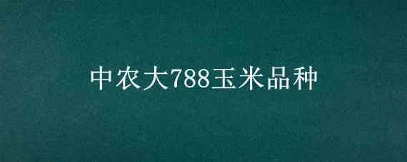 中农大788玉米品种（中农大788玉米品种简介）