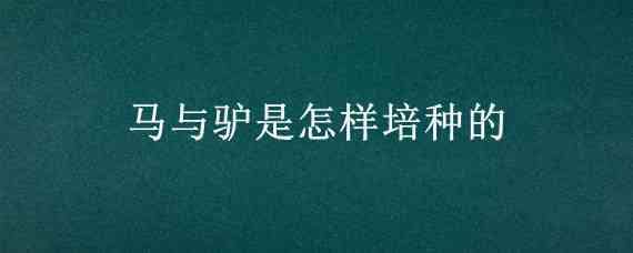 马与驴是怎样培种的 马和驴的自然繁殖