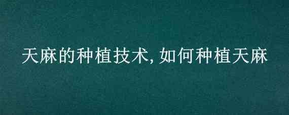 天麻的种植技术,如何种植天麻 天麻如何种植?