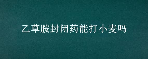 乙草胺封闭药能打小麦吗 乙草胺可以打小麦吗?