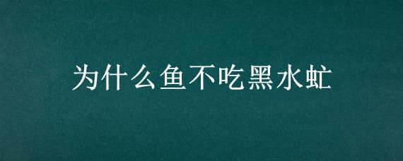 为什么鱼不吃黑水虻（用黑水虻喂鱼鱼长得快）