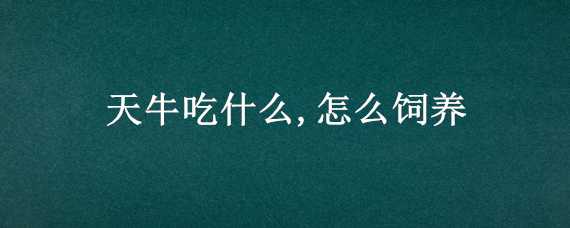 天牛吃什么,怎么饲养 天牛怎么养喂什么