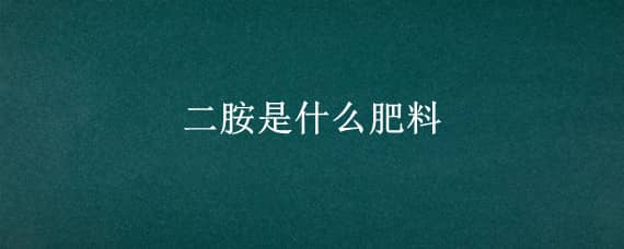 二胺是什么肥料（二胺是什么肥料是化肥吗）