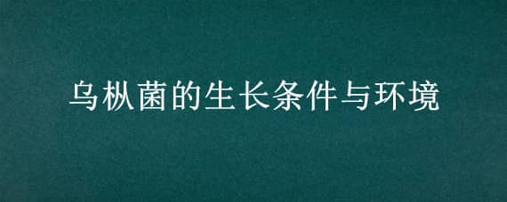 乌枞菌的生长条件与环境（乌枞菌生长周期）