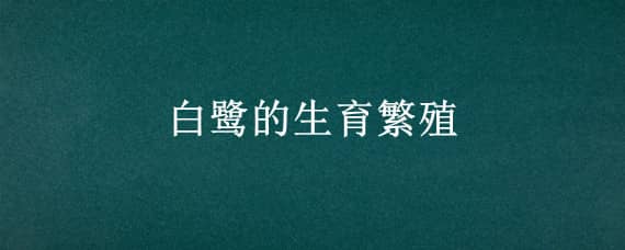 白鹭的生育繁殖（白鹭繁殖资料简介）