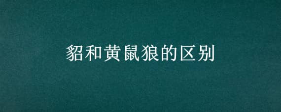 貂和黄鼠狼的区别（貂和黄鼠狼的区别是什么）