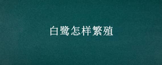 白鹭怎样繁殖 白鹭的繁殖方式资料