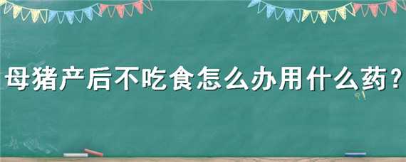 母猪产后不吃食怎么办用什么药（母猪产后不食怎样用药）