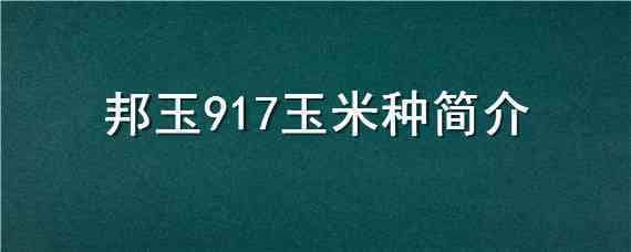 邦玉917玉米种简介 梦玉908玉米种子