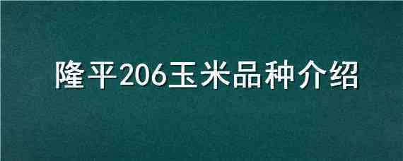 隆平206玉米品种介绍 隆平207玉米种子