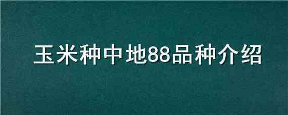 玉米种中地88品种介绍 玉米中地88春种