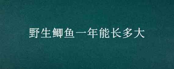 野生鲫鱼一年能长多大 野生鲫鱼一年能长几两