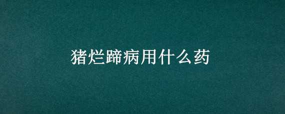 猪烂蹄病用什么药 猪烂蹄用什么药效果最好