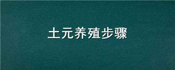 土元养殖步骤（土元养殖视频教程）