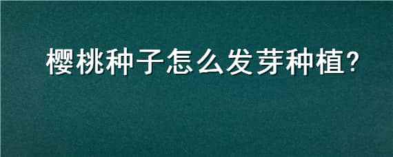 樱桃种子怎么发芽种植（樱桃种子怎么发芽种植的）