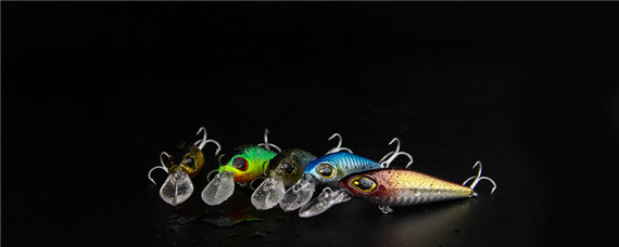 路亚多重的饵才需要助投器（路亚假饵和助投器之间距离多少）