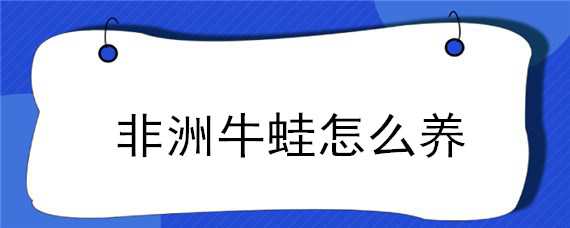 非洲牛蛙怎么养 非洲牛蛙怎么养绿