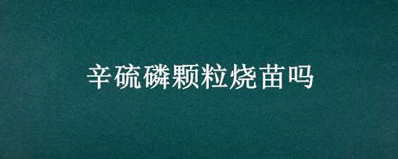 辛硫磷颗粒烧苗吗（辛硫磷拌种子量大了烧吗）