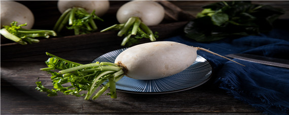 萝卜叶子发黄干枯怎么办 胡萝卜叶子发黄最后干枯