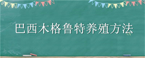 巴西木格鲁特养殖方法（巴西木格鲁特水养开花）