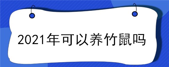 2021年可以养竹鼠吗（未来两年可以养竹鼠吗）